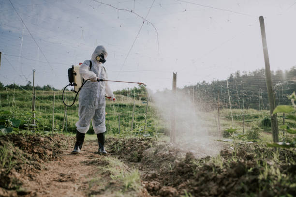 Best Commercial Pest Control Services  in Endwell, NY