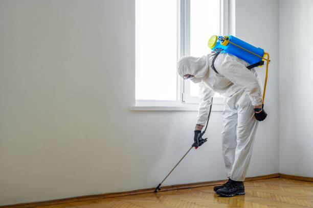 Best Insect Control  in Endwell, NY