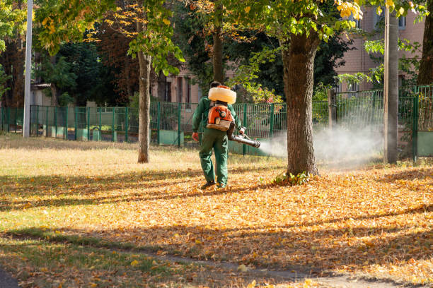 Best Wasp Removal Services  in Endwell, NY