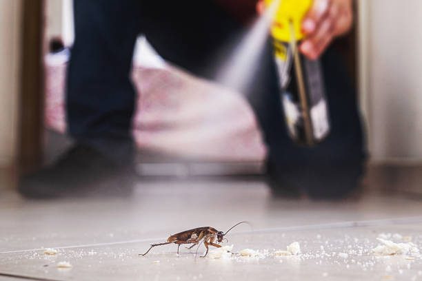 Best Wasp Removal Services  in Endwell, NY